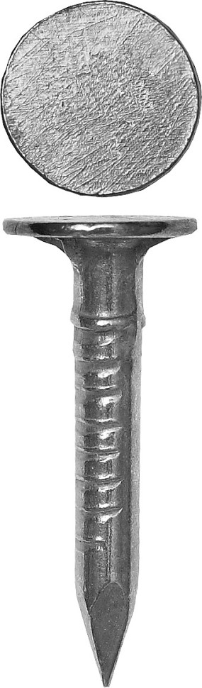ЗУБР 100 х 4.0 мм, гвозди с большой потайной головкой, цинк, 8 шт (4-305096-40-100)
